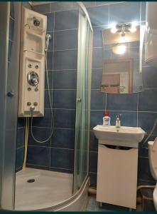 bagno con doccia e lavandino di Апартаменти Іва з окремими кімнатами в самому центрі a Dnipro
