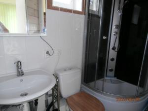 a bathroom with a toilet and a sink and a shower at Rekreační chatka / Tiny House in Františkovy Lázně