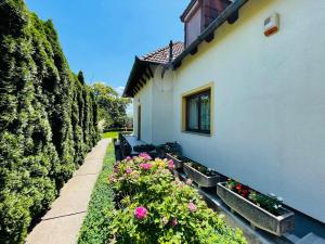Fotografia z galérie ubytovania Mikes Deluxe Home v Balatonfürede
