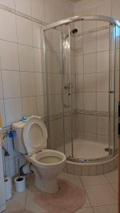 uma casa de banho com um WC e um chuveiro em Hezké ubytování v centru města em Trebic