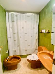オッサ・デ・モンティエルにあるHOSTAL LA CAÑADA RUIDERAのバスルーム(トイレ、洗面台付)