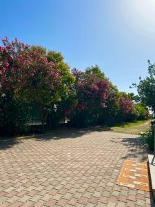 Gallery image of Apartment Kune,Shëngjin in Shëngjin