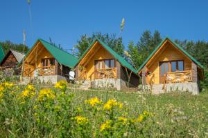 a row of cottages in a field of flowers at Apartments Stevovic in Žabljak