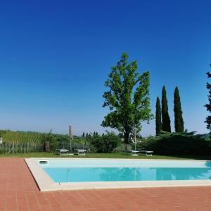 a swimming pool with two benches and a tree at CASA PARTINGOLI in Pian dei Cerri