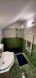 a green tiled bathroom with a sink and a shower at Casa Jax in Rîmeţi