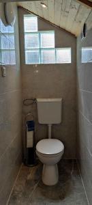 a small bathroom with a toilet and a window at Holiday home in Balatonendred 33661 in Balatonendréd +26 photos