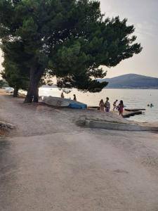 un gruppo di persone su una spiaggia con un albero di Apartman Tamara a Trogir