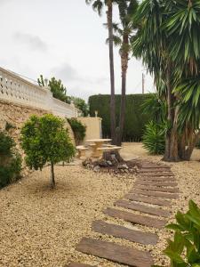 a garden with a pathway and a table and palm trees at Aпартаменты на Ortenbach in Casas de Torrat