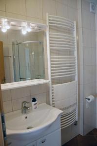 a bathroom with a sink and a mirror at Apartments Lipa in Železniki