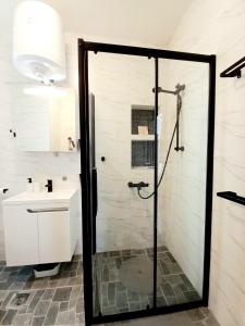 贝尔格莱德GENIUS STUDIO的浴室配有淋浴和洗手池