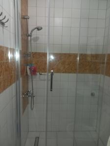 eine Dusche mit Glastür im Bad in der Unterkunft Apartment Reni in Sarajevo