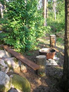 a wooden bench sitting in the middle of a forest at Rossu metsamaja in Saksa