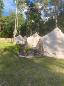 un groupe de tentes avec des chaises dans l'herbe dans l'établissement Sielski Hel, à Hel