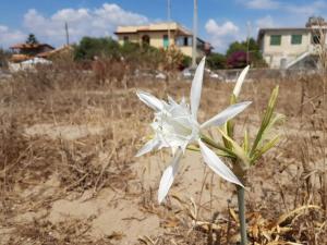 Kép Maison du Soleil szállásáról Agnone Bagniban a galériában