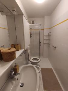 Phòng tắm tại Appartamento Belvedere Abetone