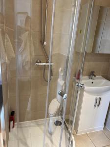 La salle de bains est pourvue d'une douche, de toilettes et d'un lavabo. dans l'établissement Entire Flat With View to River Yare, H 1, à Great Yarmouth