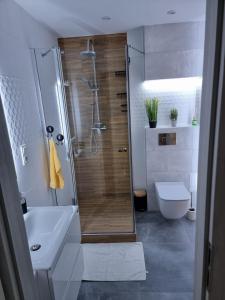 Kúpeľňa v ubytovaní Apartament Luxusowe Karkonosze