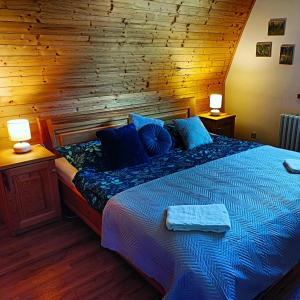 a bedroom with a bed with blue sheets and two lamps at SPA Pod Javory in Nejdek