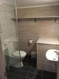uma casa de banho com um WC e um lavatório em Hafjell/Lillehammer Sorlia 3 bedroom Cabin em Hafjell