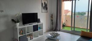 Televiisor ja/või meelelahutuskeskus majutusasutuses Superbe appartement avec balcon vue mer !
