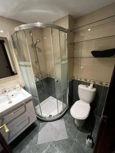 a bathroom with a shower and a toilet and a sink at Gijón del alma in Gijón