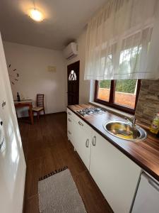 Kuchyň nebo kuchyňský kout v ubytování Studio apartman SAN 3