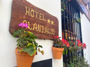 Certifikát, hodnocení, plakát nebo jiný dokument vystavený v ubytování Hotel Al-Andalus