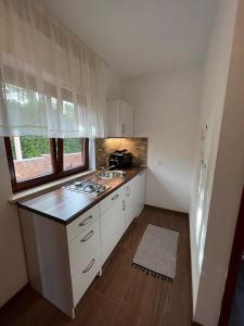 Kuchyňa alebo kuchynka v ubytovaní Studio apartman SAN 3