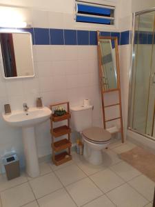 La salle de bains est pourvue de toilettes, d'un lavabo et d'un miroir. dans l'établissement T2 COSY, LUMINEUX ET SPACIEUX, à Cayenne
