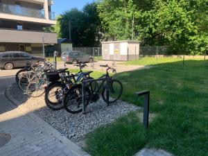 Jazda na bicykli v okolí ubytovania Pachecos' Garden