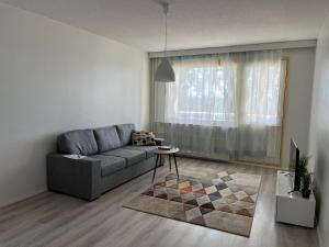 a living room with a couch and a table at Rovaniemi budget travels in Rovaniemi