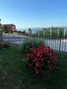 a bush of red flowers in front of a fence at SeaView Apartments in Koper