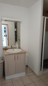 a bathroom with a sink and a mirror at Les soleiades in Béziers