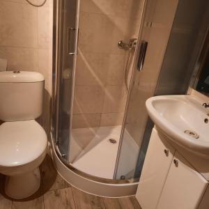 a bathroom with a shower and a toilet and a sink at U Garnuszka in Krasnopol