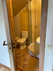 a bathroom with a toilet and a shower and a sink at Pulkvedis Guest House in Ventspils