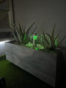 A garden outside ÁTICO "TURQUESA BEACH" CON PISCINA, TERRAZA y BARBACOA