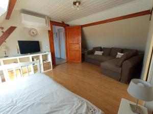 a living room with a bed and a couch at Gites les cocottes in Zellwiller