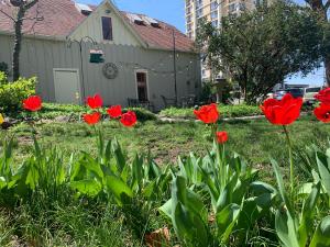 Ảnh trong thư viện ảnh của Walnut Street Inn ở Springfield