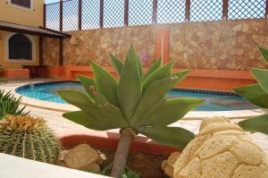 a plant in a garden next to a swimming pool at El Mosaico Del Sol in Lampedusa