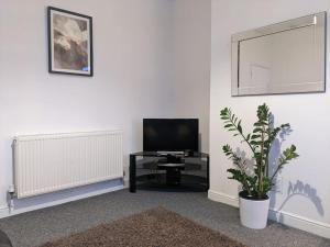 ein Wohnzimmer mit einem TV und einer Topfpflanze in der Unterkunft Charming 3-Bed House in Whitwell village in Worksop