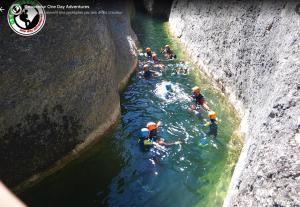 Pemandangan dari udara bagi MOLINO DOLZ