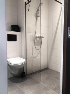 a bathroom with a toilet and a glass shower stall at Schierzicht Logement in Lauwersoog