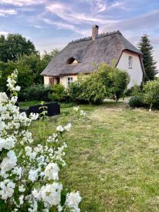an old house with a thatched roof and white flowers at OAZA POD STRZECHĄ Klimatyczny dom z 3 sypialniami na wyłączność z kominkiem i dużym ogrodem in Ustronie Morskie