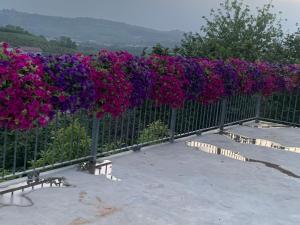 una cerca con flores púrpura y púrpura. en Cascina La Corte, en Neive