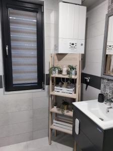 Flowers Apartment tesisinde bir banyo