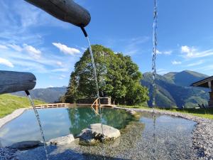 a swing around a pool of water with mountains in the background at Sinnlehen Alm in Saalbach Hinterglemm