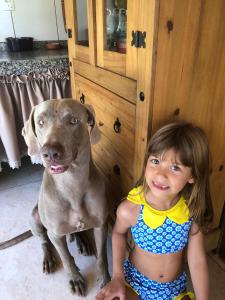 a little girl in a bikini next to a dog at Estancia Maria in Pirenópolis