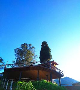 a building on a hill with trees in the background at Hospedaria Sol & Lua in São Bento do Sapucaí