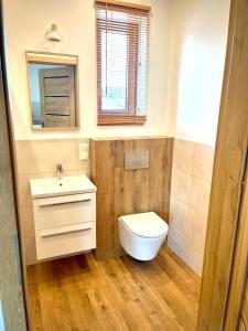 łazienka z toaletą, umywalką i lustrem w obiekcie Apartament z ogrodem w Sarbinowie +18 zdjęć