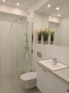 a bathroom with a shower and a toilet and a sink at Apartament Rodzinny Baltic Park Stegna in Stegna